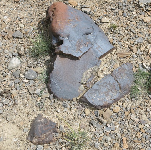 Fig. 18. A broken boulder with ancient rock art, Poh.