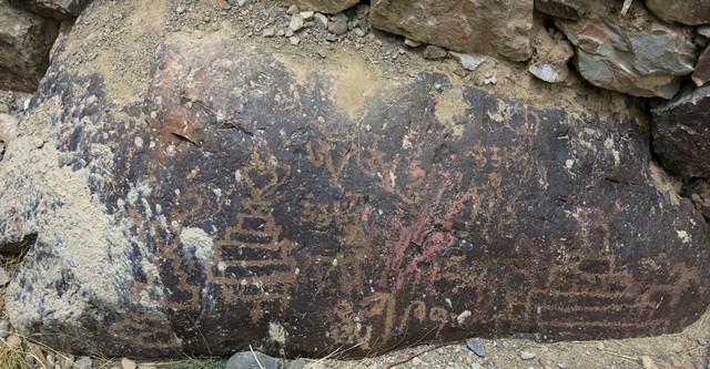 Fig. 19. A rock art boulder damaged by installation in the wall of an orchard, Tabo.