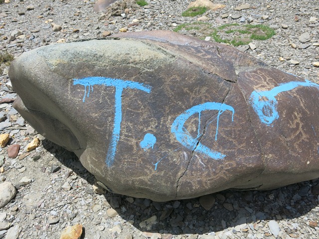 Fig. 20. Ancient rock art marked for destruction, Hurling.