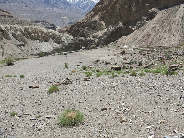 Fig. 29. The shelf at Dzamathang. The mountains of Kinnaur can be seen in the background. To the left of the shelf is the main road that connects Sumdo to Hurling.