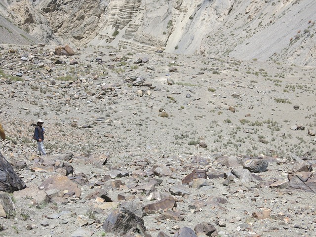 Fig. 32. The shelf on which is situated the rock art in figs. 31 and 33.