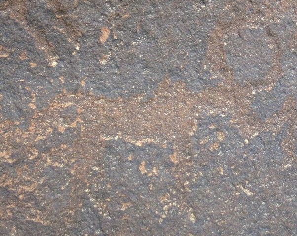 Fig. 34. A wild yak (30 cm long), Draknak (Brag-nag; el. 3155 m). The major physical traits of this species are well depicted in this petroglyph. Iron Age or Protohistoric period.