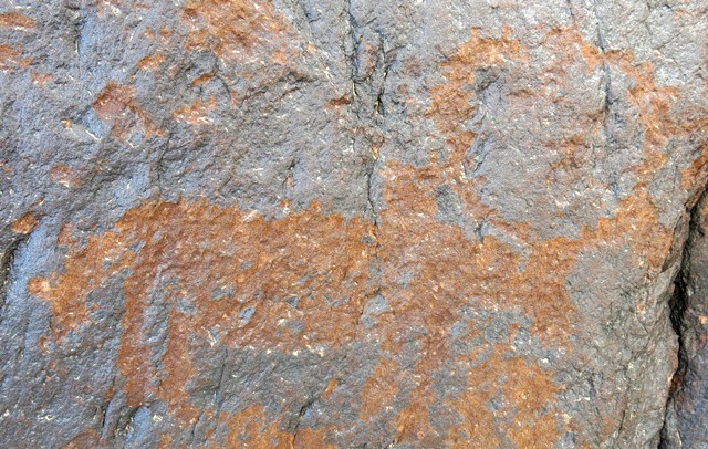 Fig. 36. A wild yak (28 cm long), Sahal Thang (Sa-skal thang; el. 3215 m). Typical physical features of this bovine species are reproduced in this petroglyph. Protohistoric period.