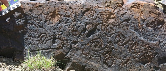 Fig. 76. Several scrolls on the southeast side of a boulder, Lari Tingjuk. Protohistoric period.