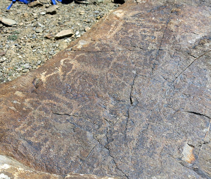 Fig. 4.2. A horizontal face of a boulder with a number of blue sheep and other animals. Protohistoric period.