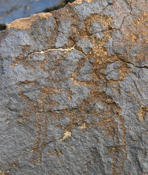 Fig. 4.3. An anthropomorph with arms joined in front, legs spread and relatively large round head. Early Historic period. This figure was partially carved over the petroglyph of a wild caprid.