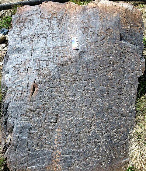 Fig. 5.1. A large southeast-facing panel pullulating with around 50 anthropomorphic and zoomorphic figures and a few rectilinear geometrics. The petroglyphs are dominated by wild caprids and they may be the only species of animals depicted on the boulder. There are at least five anthropomorphs on the panel, two of which clearly have bows. In conventional Spitian style, the sundry figures are in very close proximity or actually touching one another. Iron Age.