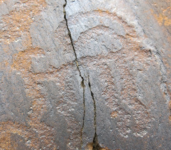 Fig. 6.4. A close-up of an ibex carving on the same rock face as fig. 6.1. Note the way some of the patina has been stripped from the carving due to geochemical weathering processes. Iron Age.