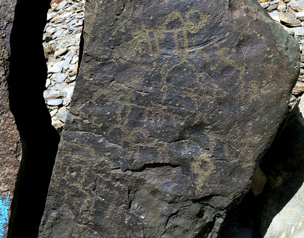 Fig. 9.3. A hunting scene comprised of two or three archers and several wild caprids. Note the archer with the big bow on the middle right side of the boulder. The animals are rendered as stick figures, a common mode of portrayal in Spiti. Protohistoric period. This boulder has been split in two, as a prelude to its complete destruction. Evidently, many boulders have met a similar fate in recent years, eradicating thousands of petroglyphs in Spiti.