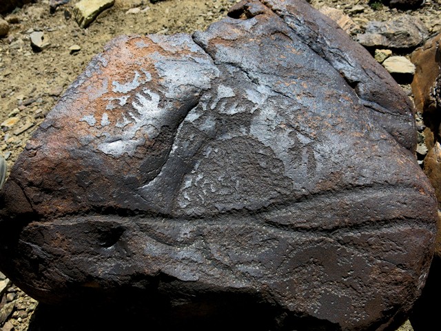 Fig. 10.11. Another end of the boulder in figs. 10.9 and 10.10. Note the deeply carved forked line running across the full breadth of the boulder and the intricate curvilinear motif above. There are wavy lines below the forked line. Several animals grace the upper portion of the rock.