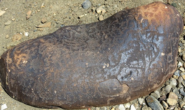 Fig. 10.9. A boulder completely covered with curvilinear designs, most of which form an integrated composition. There are wild caprids interspersed among these designs. Iron Age or Protohistoric period.