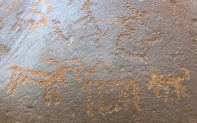 Fig. 11.10 Two blue sheep and what might be a carnivore occupy the bottom half of the image. Above these carvings more heavily re-patinated figures (including at least two wild caprids) are visible. The hourglass-like figure (upper right) has not been identified. Protohistoric period.
