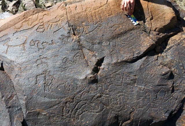 Fig. 11.18. The top of this large boulder (2 m x 3 m x 3m) exhibits a large variety of carvings, many dating to the Protohistoric period. At the bottom right is a male figure. Much of the rest of the lower part of the rock surface is covered in a wave pattern, which continues upward and around to the right edge of the rock face. Above and to the left of the wavy lines are two more anthropomorphs, each carved as separate compositions. Sinuous lines are found to the right of these two human figures. Near the top of the boulder is a blue sheep hunting scene, curvilinear motif and two other caprids.