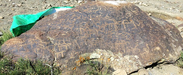 Fig. 11.22. All sides of this domed boulder (3.8 m x 2.5 m) are covered in petroglyphs of wild caprids, anthropomorphs and geometrics. There are more than 100 individual carvings. Protohistoric or Early Historic period.