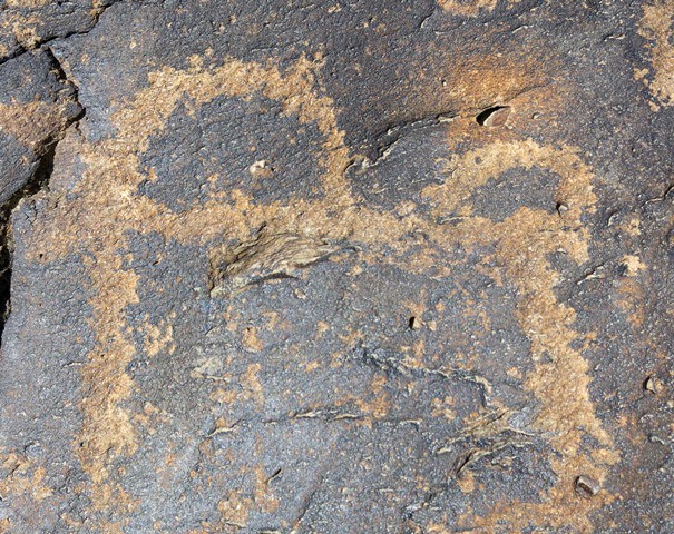 Fig. 11.24. What appear to be two ibex shown back to back on the same boulder as fig. 11.22.