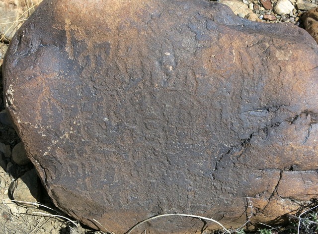 Fig. 11.26. On this south-facing boulder is a dense array of wild caprids and anthropomorphs. These figures are now highly eroded. Protohistoric period.