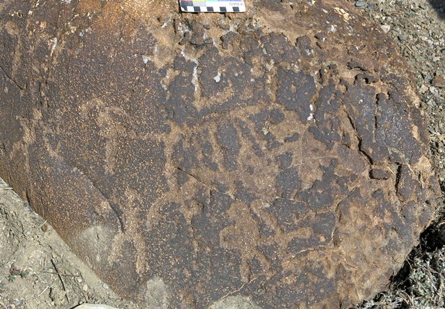 Fig. 11.29. Three anthropomorphs, at least two which are armed with bows, hunting blue sheep, one of which is clearly represented. These petroglyphs have undergone much wear. Protohistoric period.