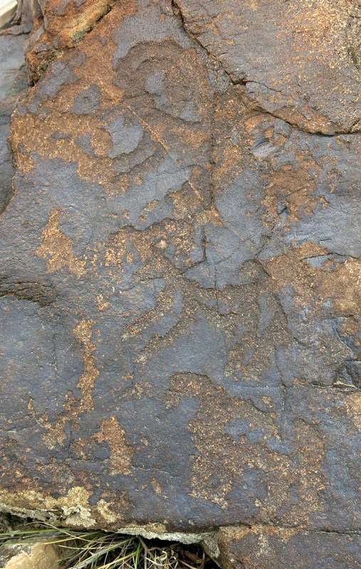 Fig. 11.3. One ibex (upper figure) and two blue sheep (lower figures) in a single row (10–14 cm long). Protohistoric period. Most of the non-descript carvings on the same rock belong to a later period.