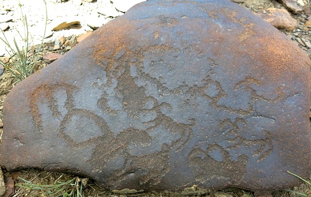 Fig. 11.4. Four or more wild caprids, semi-circle, oval (14 cm long) and non-descript carvings. Iron Age or Protohistoric period. 