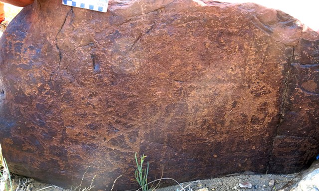 Fig. 11.42. East side of boulder with various geometrics and wild caprids. Near the middle of the boulder is a square subdivided into six parts, four of which contain diagonal lines forming an X. Protohistoric period.