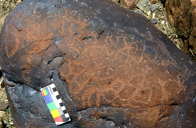 Fig. 11.43. A mass of interconnected circles and curved lines spread across the top of a boulder. Much of the veneer that once encased the upper part of the rock has been worn away. Protohistoric period.