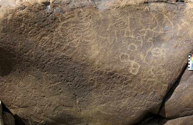 Fig. 11.45. Circles, other curvilinear designs, animals and miscellaneous figures of diver’s periods. Note the Tibetan letters n and d on the upper right side of the boulder. Above these letters is a bird-like creature and above it is a conjoined sun and moon.