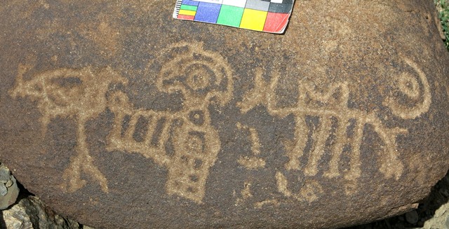 Fig. 11.48. Conjoined sun and moon (right side), horse with saddle-like object on its back, complex geometric design with eye-like top and other figures. Early Historic or Vestigial period.