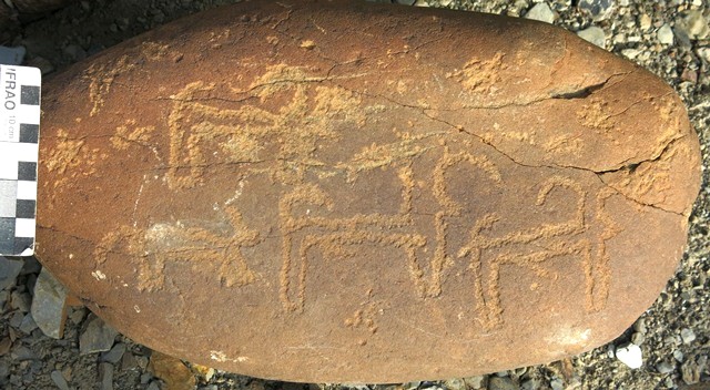 Fig. 11.7. Three blue sheep and what appears to be a carnivore in pursuit carved on a small boulder. The carnivore could possibly be a wolf or snow leopard, both of which are still found in Spiti. Protohistoric period.