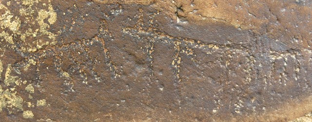 Fig. 11.8. Three elongated animals (the longest is 18 cm). As these petroglyphs are so stylized, it cannot be determined which species were intended. Lichen has colonized the carvings. Protohistoric period.