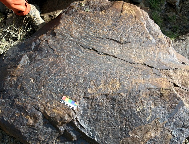 Fig. 13.5. Anthropomorphic and zoomorphic rock art of various phases. To the right of the color calibration scale is an emblematic anthropomorph. Due to heavy erosion and the mingling of figures, few petroglyphs are readily identifiable on this boulder.