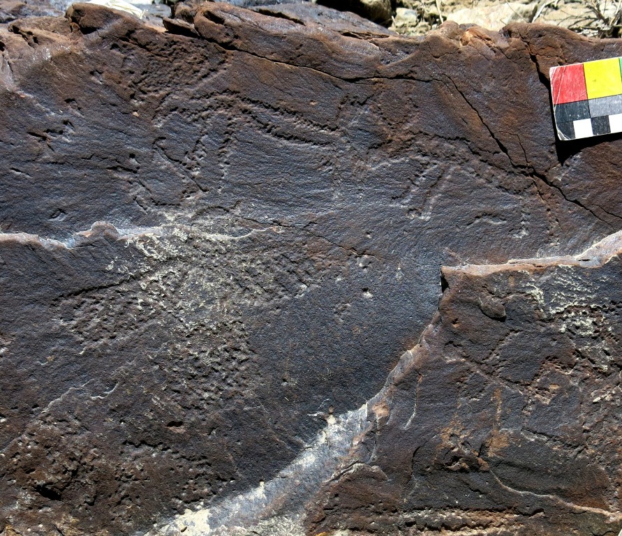 Fig. 14.10. Deer (top left), wild yak (top right), horned eagle (lower left), emblematic anthropomorph (lower right). Iron Age and Protohistoric period.