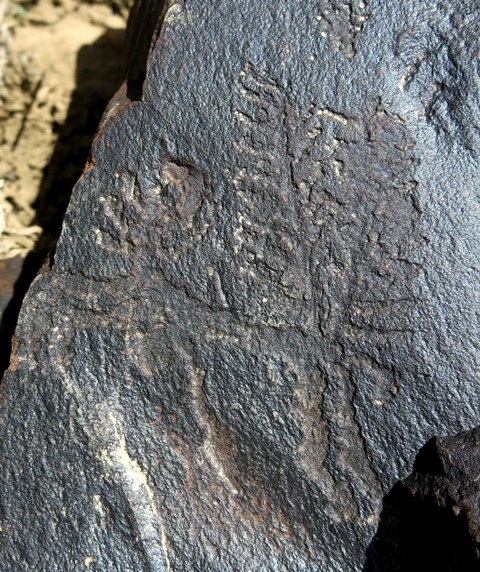 Fig. 14.15. A deer with elaborate branched antlers in a linear style of depiction (10 cm long). Iron Age.
