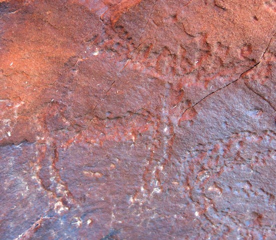 Fig. 14.16. A deer carving with prominent antlers (10 cm long). This petroglyph has undergone much wear. Iron Age or Protohistoric period.