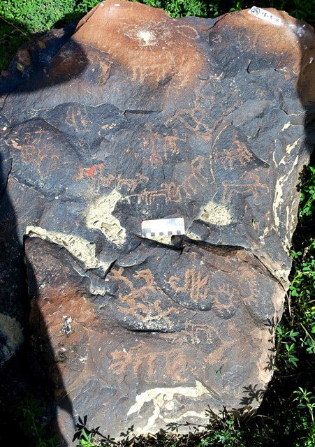 Fig. 14.18. Typical carvings of wild caprids covering the upper surface of a boulder as well as two suns and swastika (bottom half). Protohistoric and Early Historic periods.