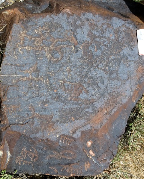 Fig. 14.36. On top of this boulder there appear to be several wild caprids carved amid curvilinear designs including a large central circle. Protohistoric period. On the side of the boulder are wild caprids and other carvings of the Early Historic period.