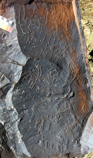 Fig. 14.41. Boulder with linear patterns (top half) and ibex and other wild caprids (bottom half). Protohistoric period.