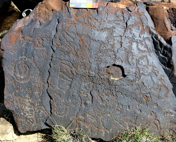 Fig. 14.42. Curvilinear subjects covering the face of a boulder interspersed with wild caprids. In the middle of the image is a rectangular form that appears to consist of two wild caprids standing in opposite directions. Protohistoric period.