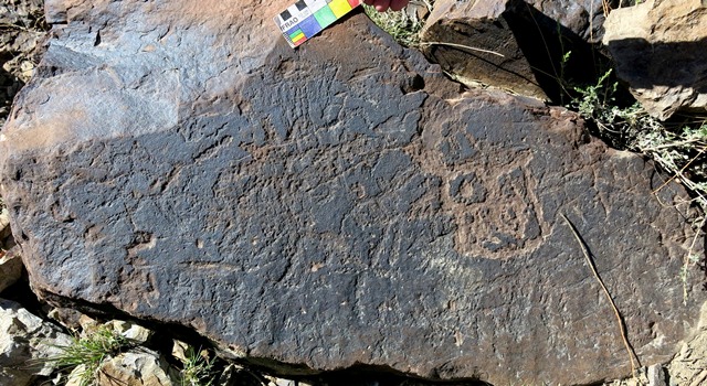 Fig. 14.43. Wild ungulates and linear markings of typical Spitian style. Protohistoric period.