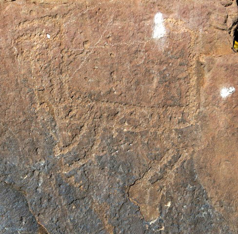 Fig. 14.5. An unusually styled wild ungulate whose body appears to have contained a carved design resembling stripes or squares (18 cm long). The long vertical line on the right may represent the horns of another animal. Protohistoric period.