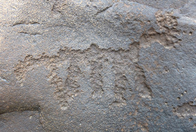 Fig. 15.2. Portrait of solitary quadruped (24 cm long). Protohistoric period.