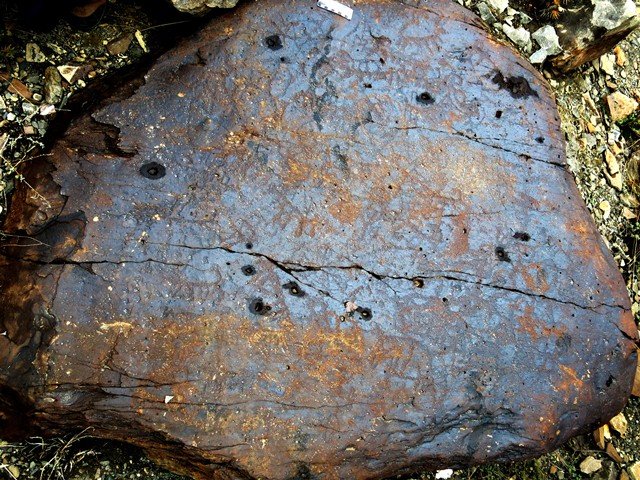 Fig. 16.2. Boulder with large mass of wild caprids and perhaps other figures. These petroglyphs are highly eroded. Protohistoric period.