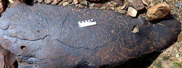 Fig. 17.4. Two archers (bottom right) among wild caprids. Protohistoric period. Photo courtesy of Spiti Rock Art and Historical Society.