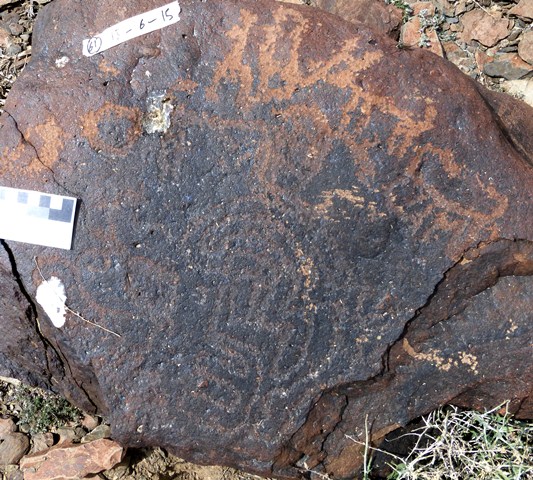 Fig. 17.5. Wild caprids along upper portion of image dating to the Early Historic period. Complex geometric design covers much of the rest of this face of the boulder. It is attributable to the Protohistoric period. Photo courtesy of Spiti Rock Art and Historical Society.
