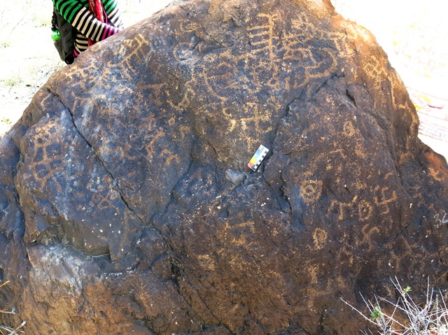 Fig. 18.23. A west side of a large boulder completely covered in carvings. These include swastikas, circles, wild caprids and anthropomorphs. Note the tiger on the top right side of the rock (see August Flight of the Khyung, fig. 11). These carvings are typical of the Early Historic period.