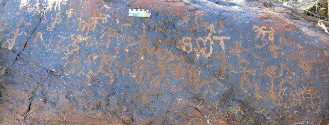 Fig. 18.29. Top portion of large boulder with wild caprids and a number of anthropomorphs. Early Historic period. Note the recent carvings.