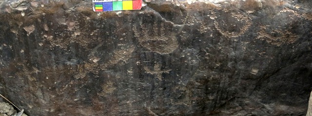 Fig. 18.44. Carving of a hand (middle top) counterclockwise swastika (left side) and other figures. Protohistoric period.