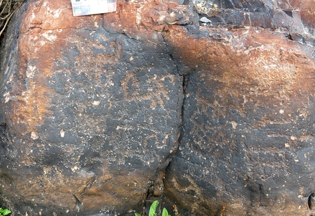 Fig. 18.9. Wild caprids across the face of a boulder. These petroglyphs are now highly eroded. Protohistoric and Early Historic periods.