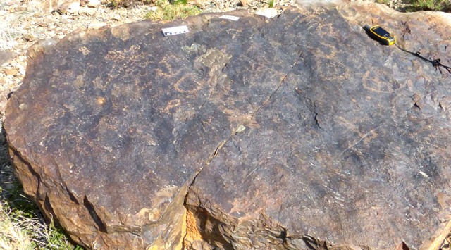 Fig. 19.2. Various geometric forms and animals. Probably Early Historic period. Photo courtesy of the Spiti Rock Art and Historical Society.