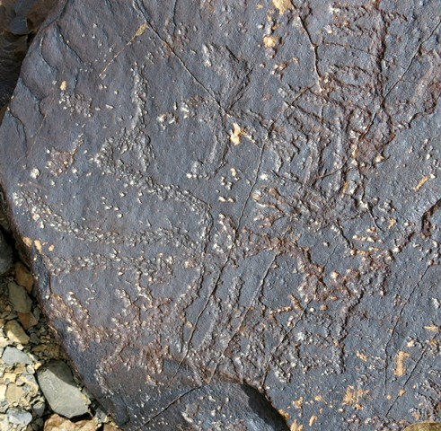 Fig. 20.27. Complex linear designs possibly with anthropomorphs and animals among them (total length 32 cm). Possibly both Iron Age and Protohistoric period.