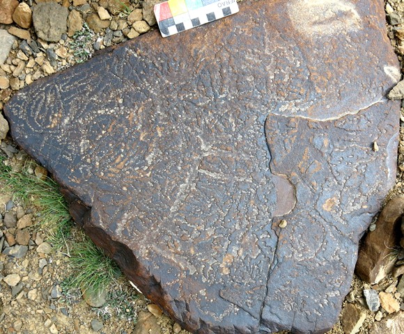 Fig. 20.28. The horizontal top of a boulder covered in maze-like carvings that are highly eroded. There may possibly be anthropomorphic and zoomorphic figures interspersed between the geometric designs. Iron Age or Protohistoric period.